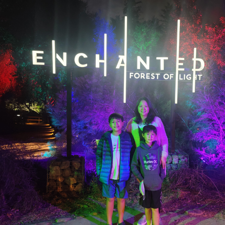 Enchanted Forest of Light is Back this November