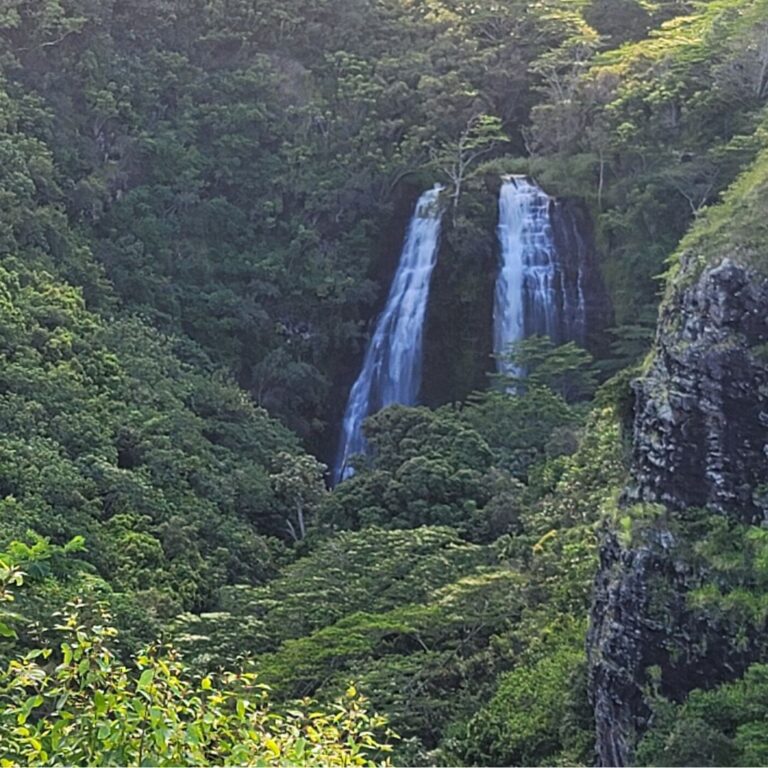 Our Recent Trip to “The Garden Isle” – Kauai